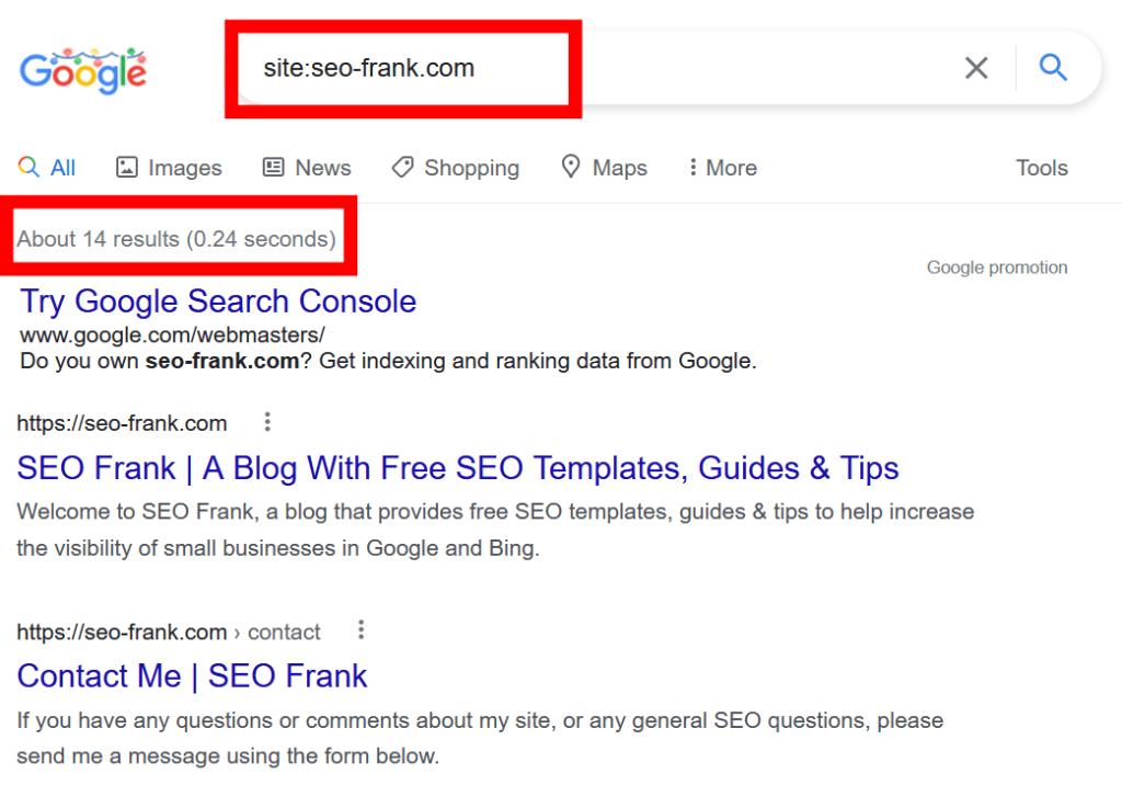 site search function example for seo-frank.com with Google SERP results
