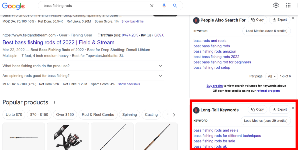 Keywords Everywhere SERP interface highlighting the long-tail keyword ideas.