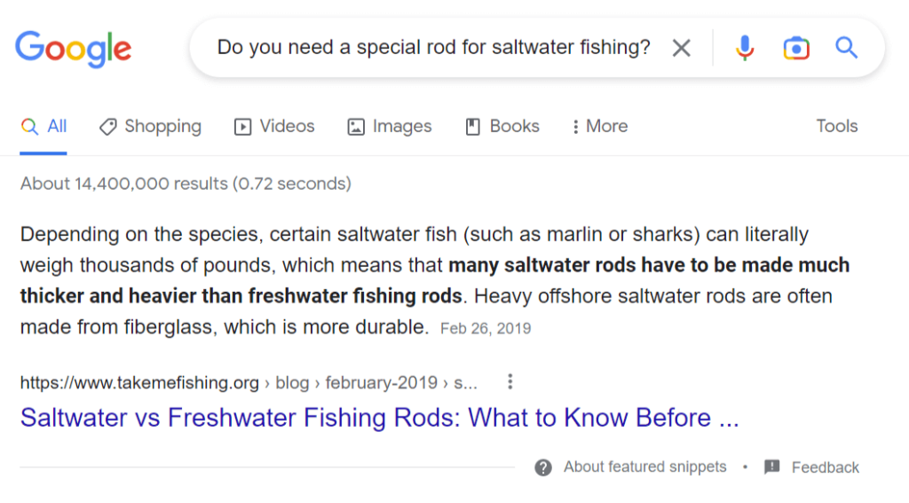 Google's featured snippet example for "do you need a special fishing rod for saltwater fishing?".