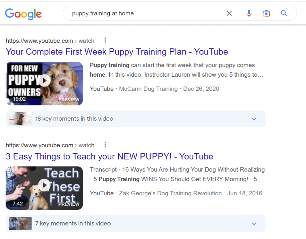 Google's video results example for "puppy training at home".