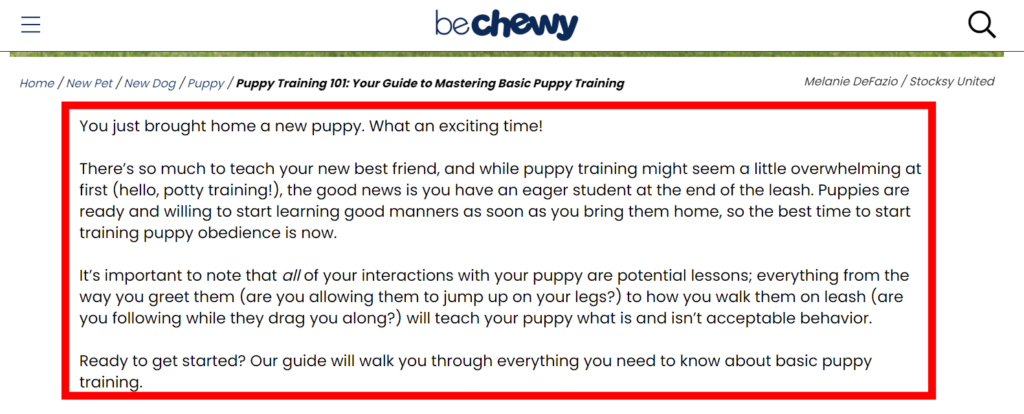 Organic landing page example for introduction about puppy training.